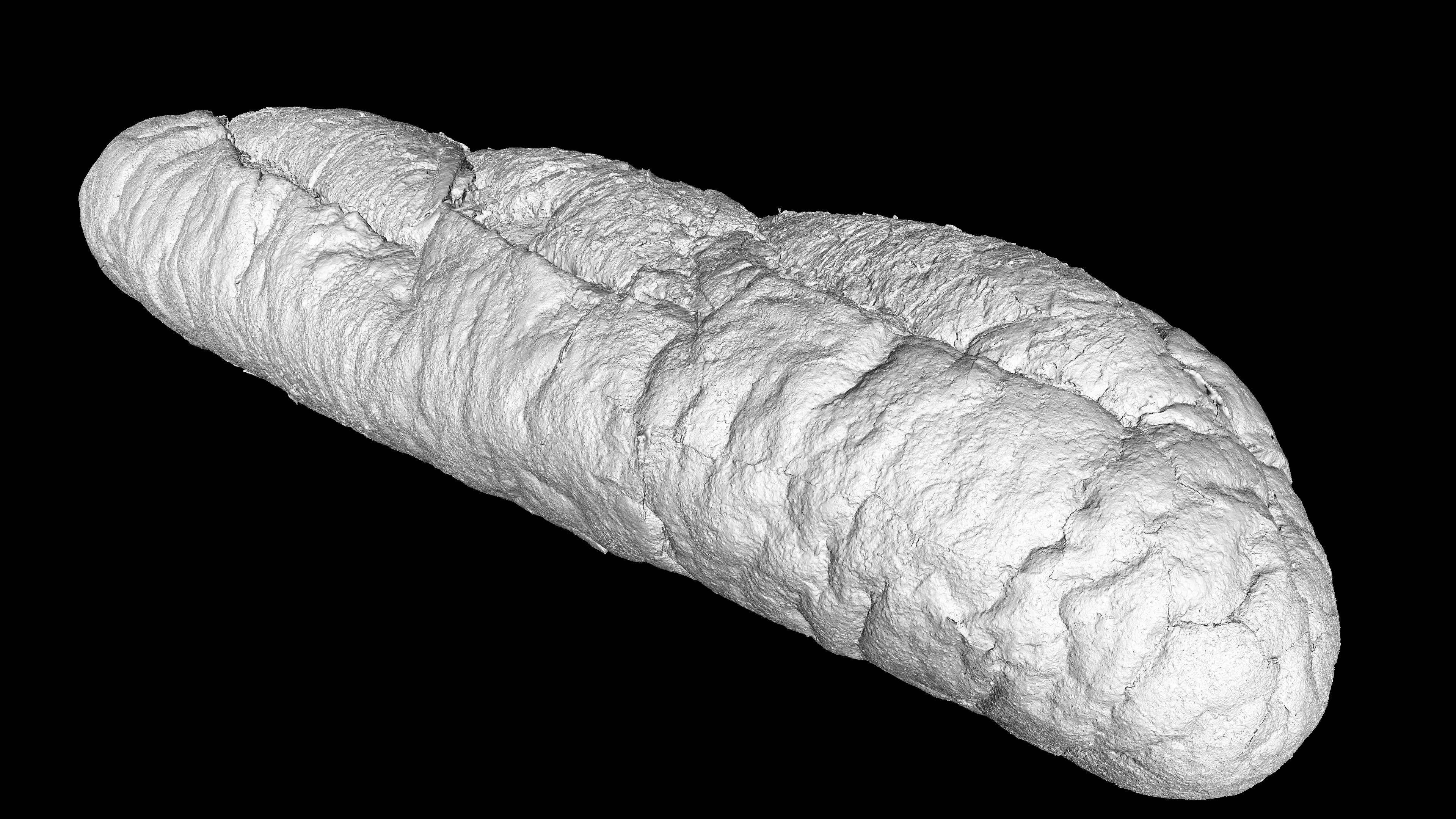 3Dスキャン作品