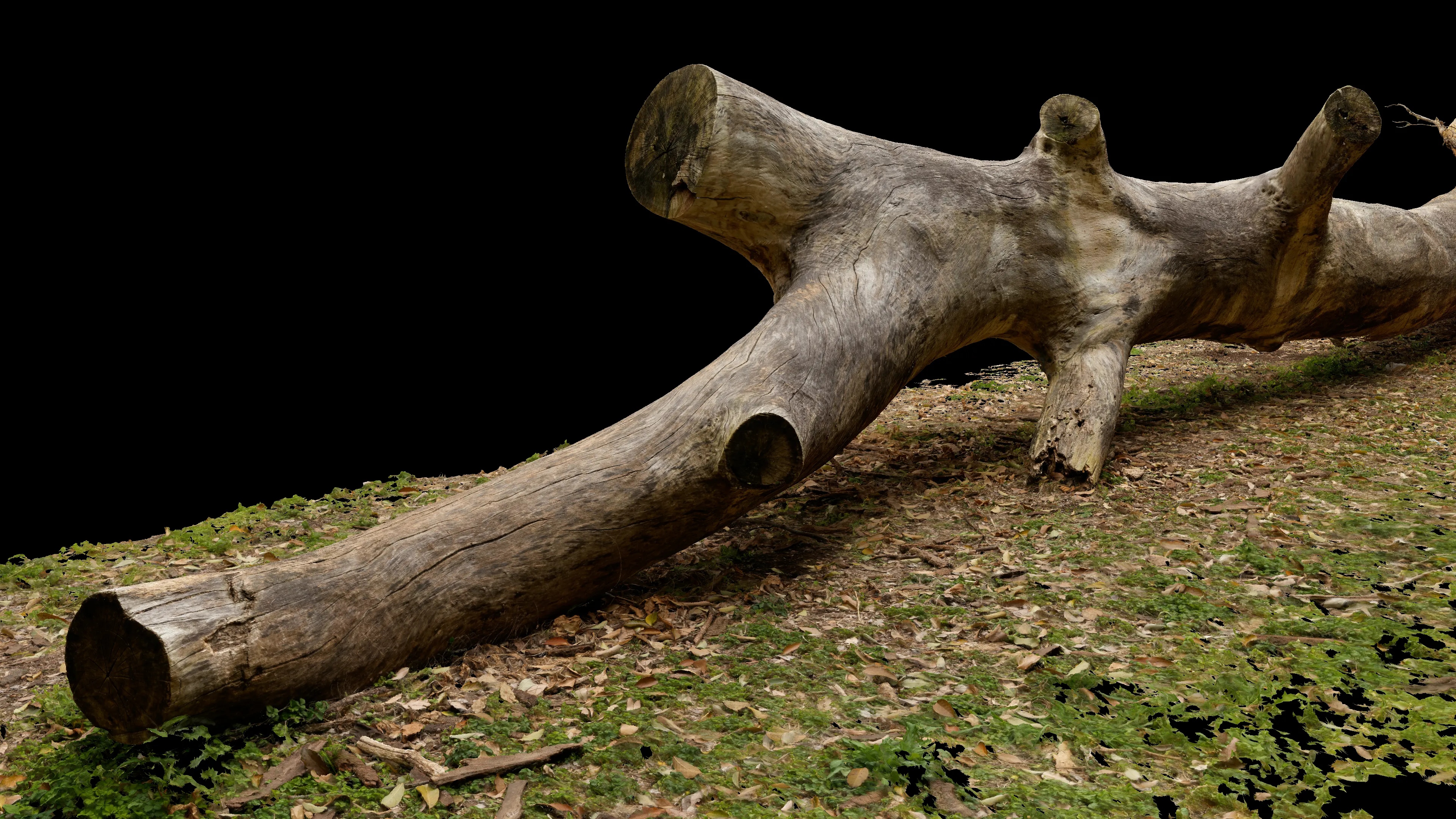 3Dスキャン作品