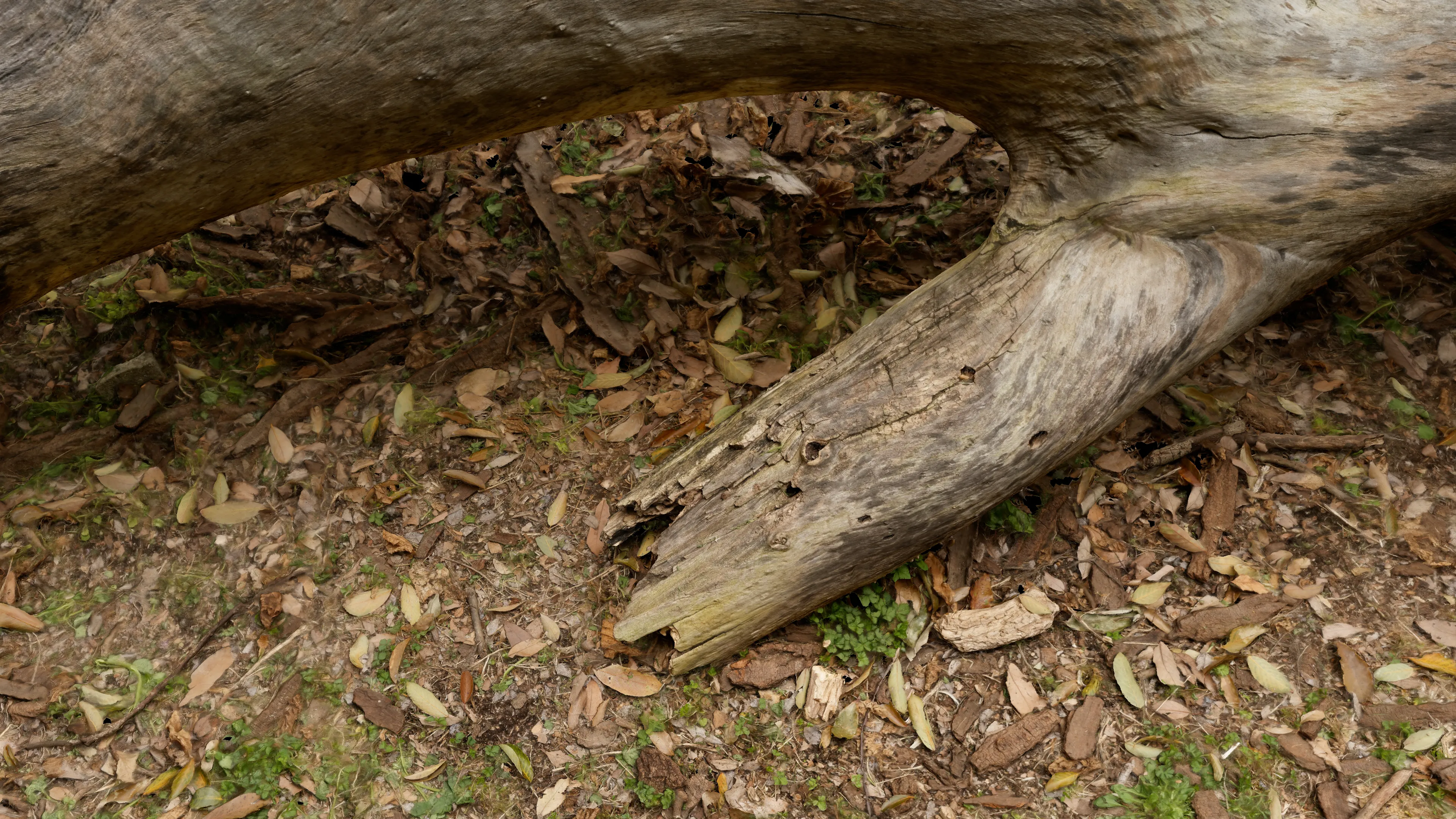 3Dスキャン作品