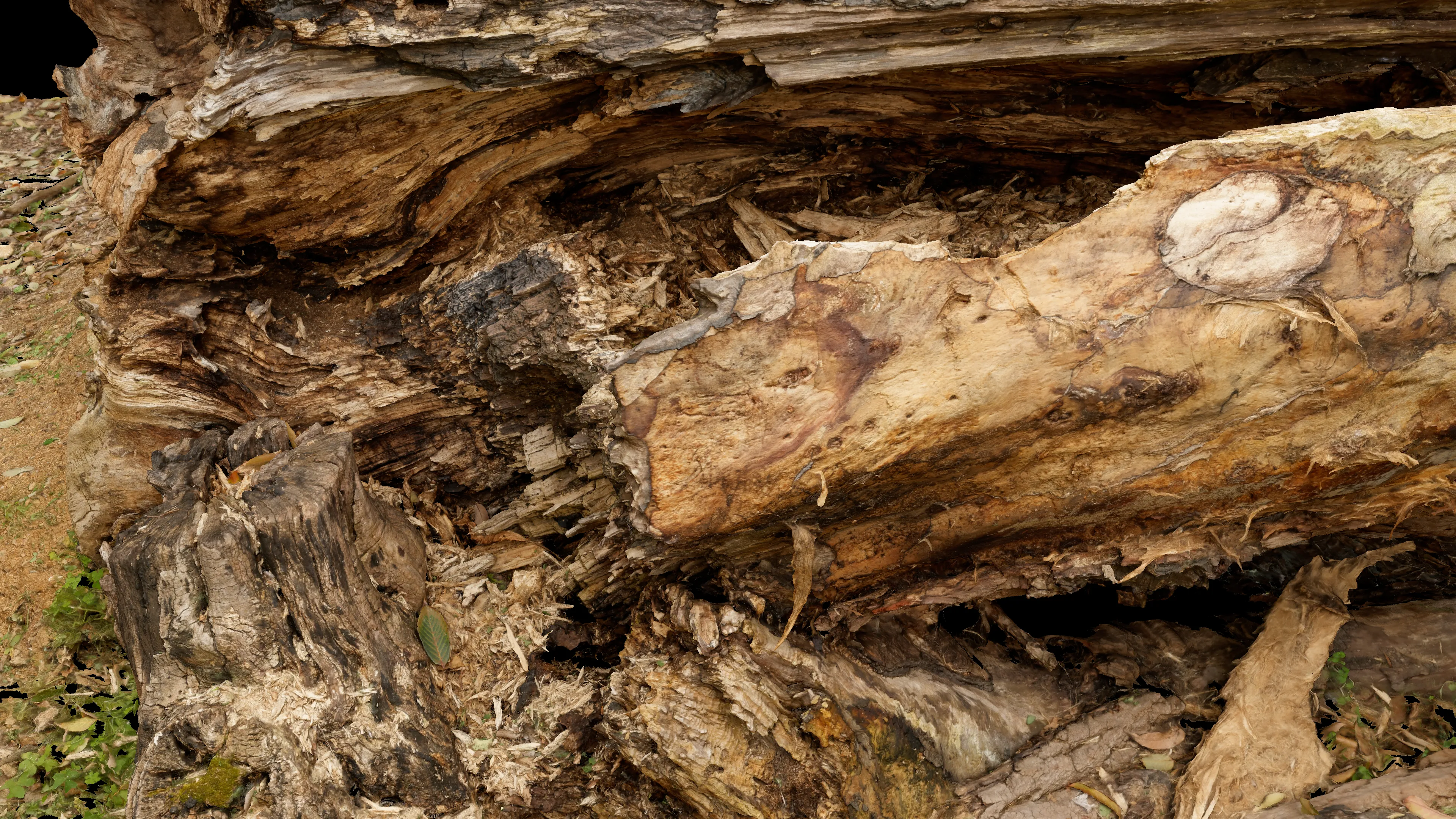 3Dスキャン作品