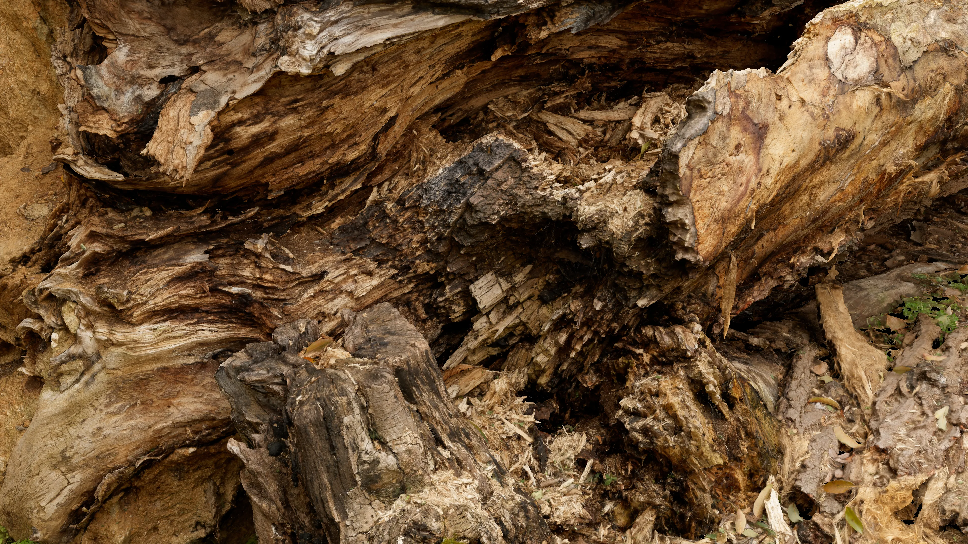 3Dスキャン作品