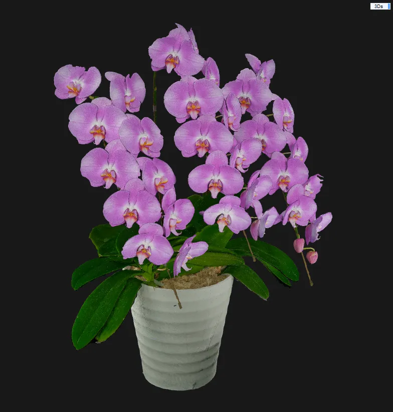 3Dスキャン作品