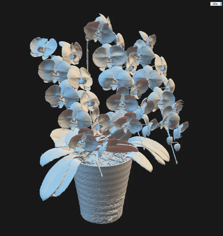 3Dスキャン作品