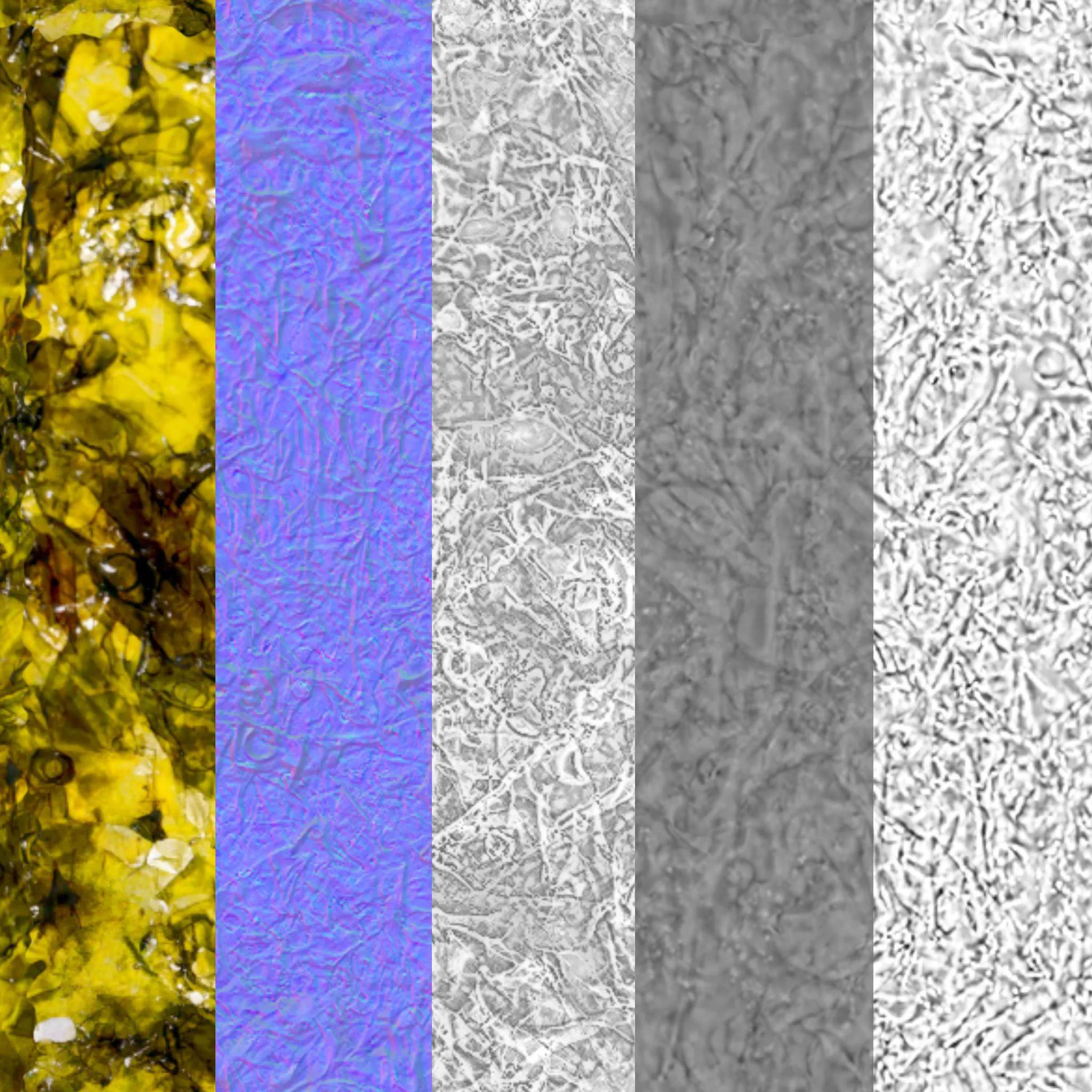 3Dスキャン作品