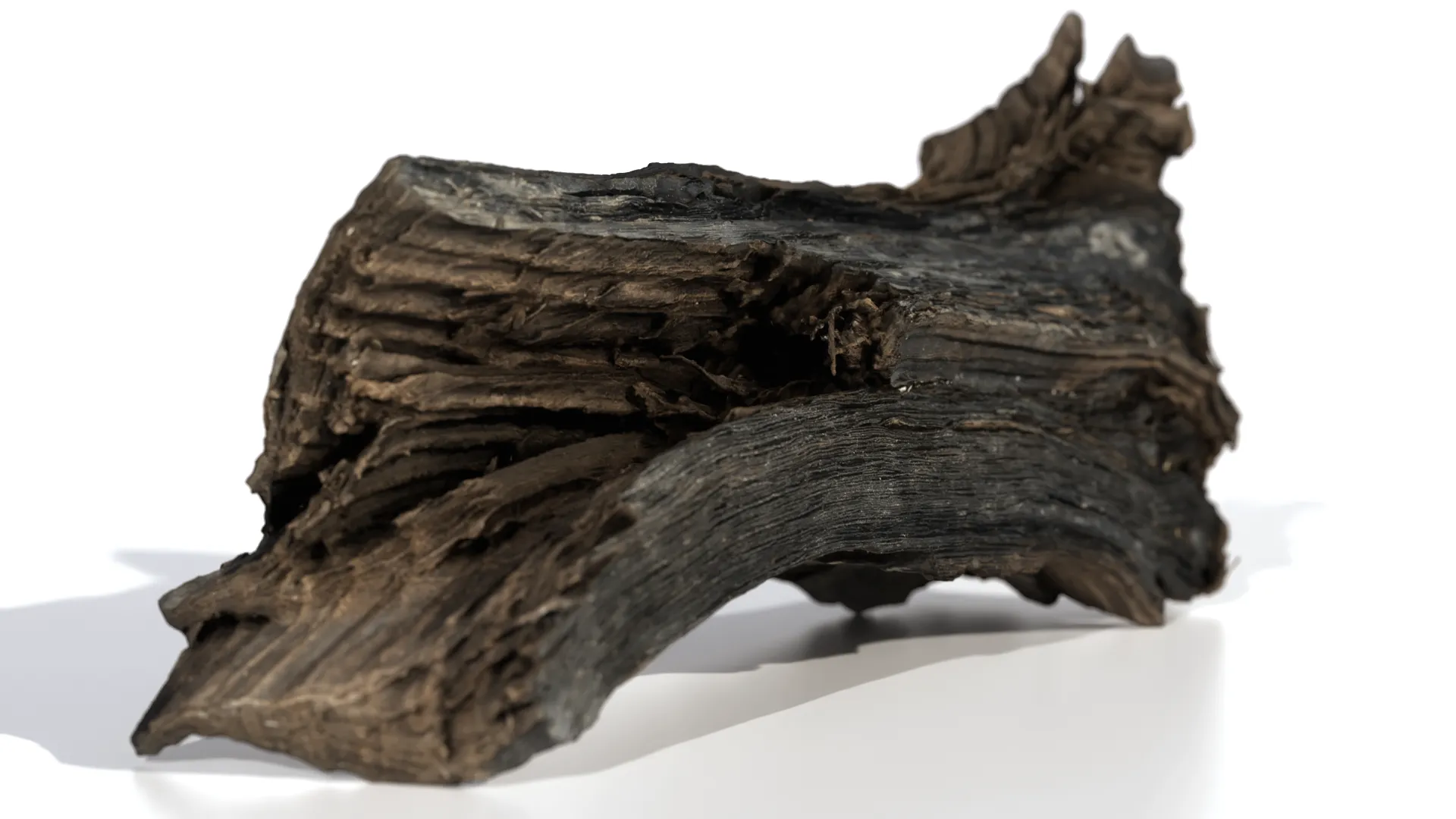 3Dスキャン作品