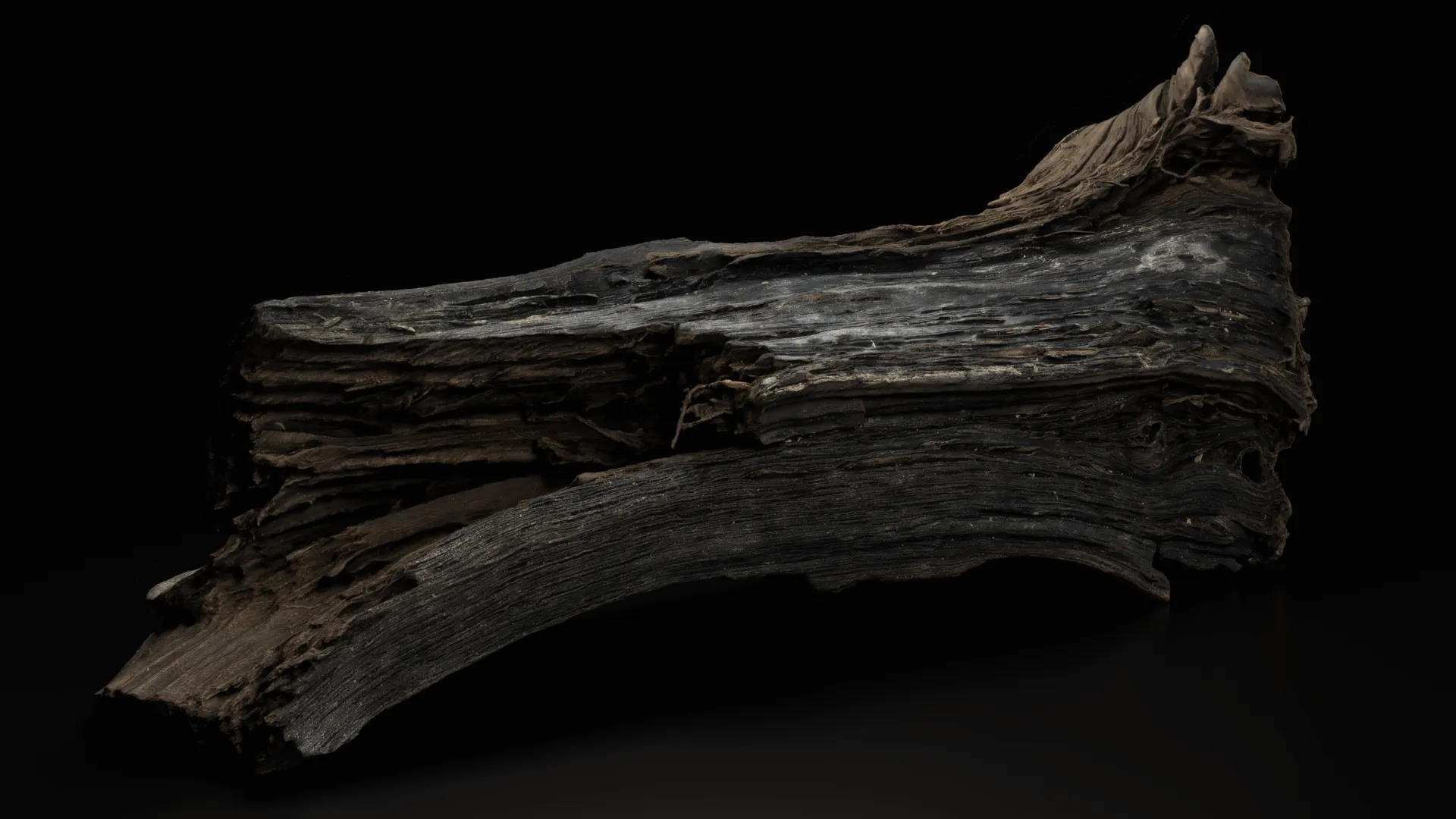 3Dスキャン作品