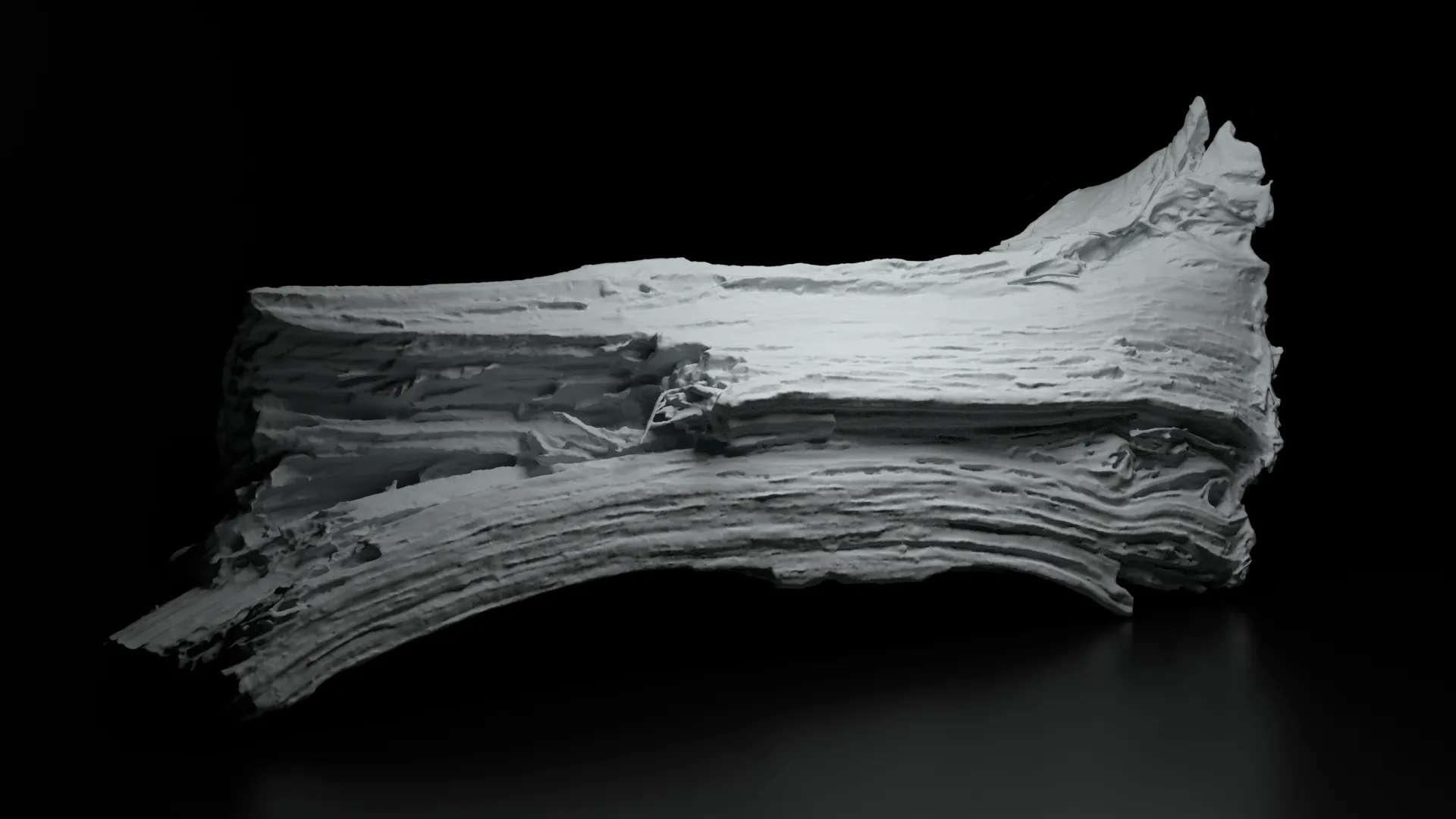 3Dスキャン作品